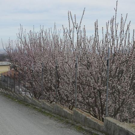 Agriturismo Ai Prusot Bed & Breakfast Bagnolo Piemonte Exterior photo